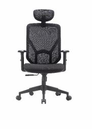 OXFORD Apoyo lumbar
