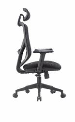OXFORD Apoyo lumbar