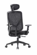 OXFORD Apoyo lumbar